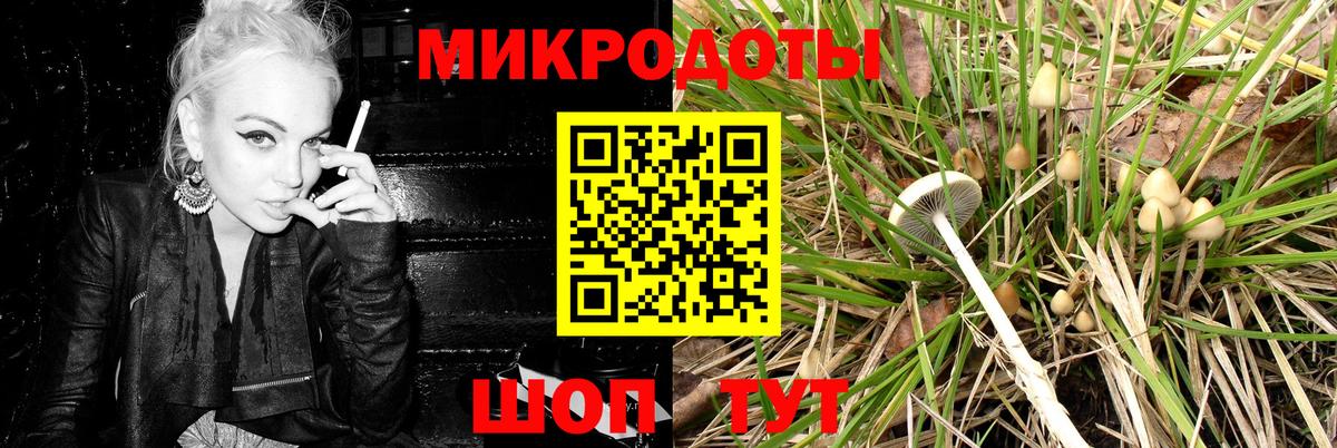 Галлюциногенные грибы Cubensis  Вход с VPN  Заводоуковск 